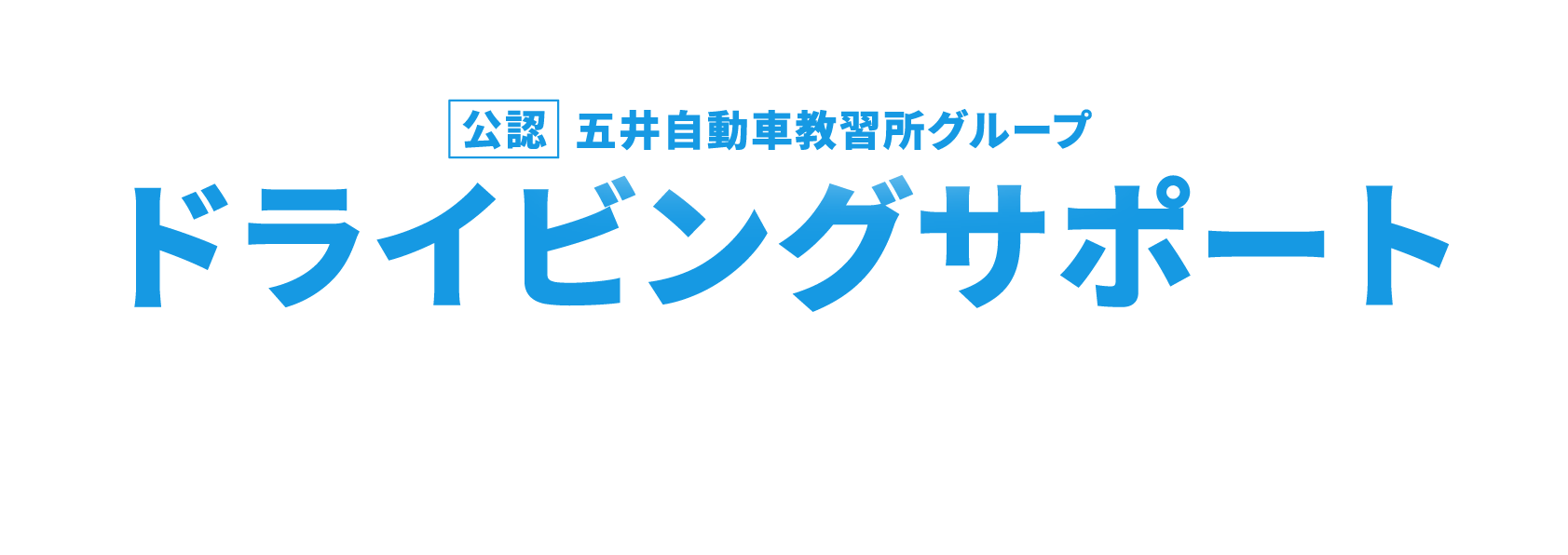 ドライビングサポート